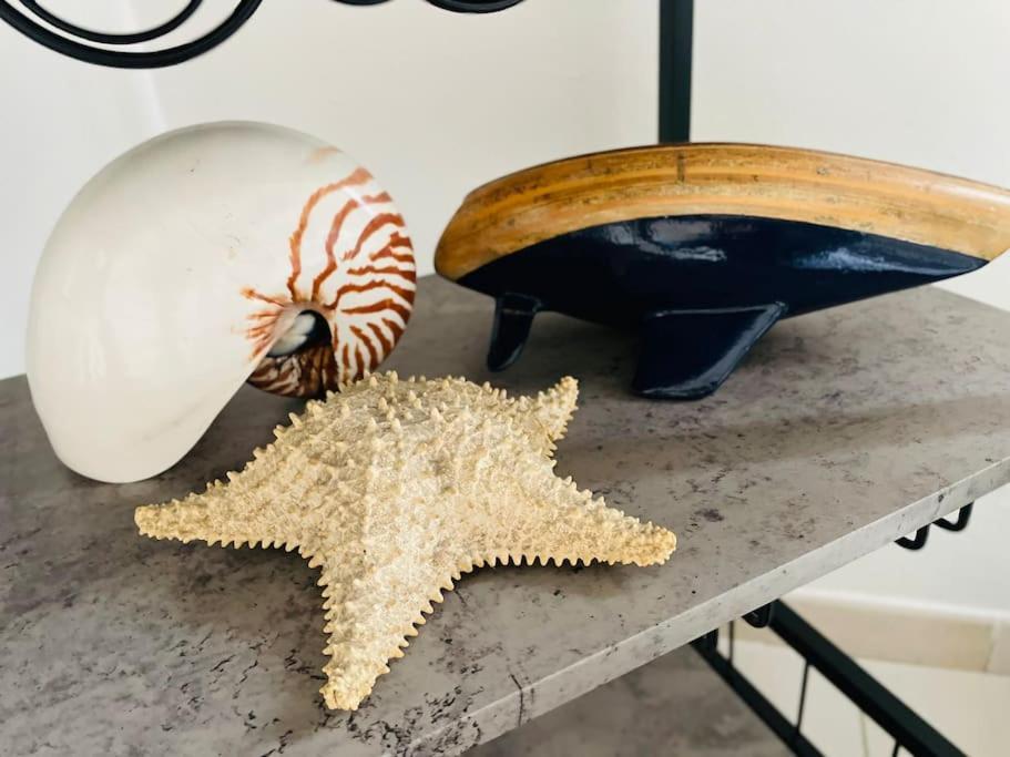 La Venezia'S Studio Flat Livorno Zewnętrze zdjęcie